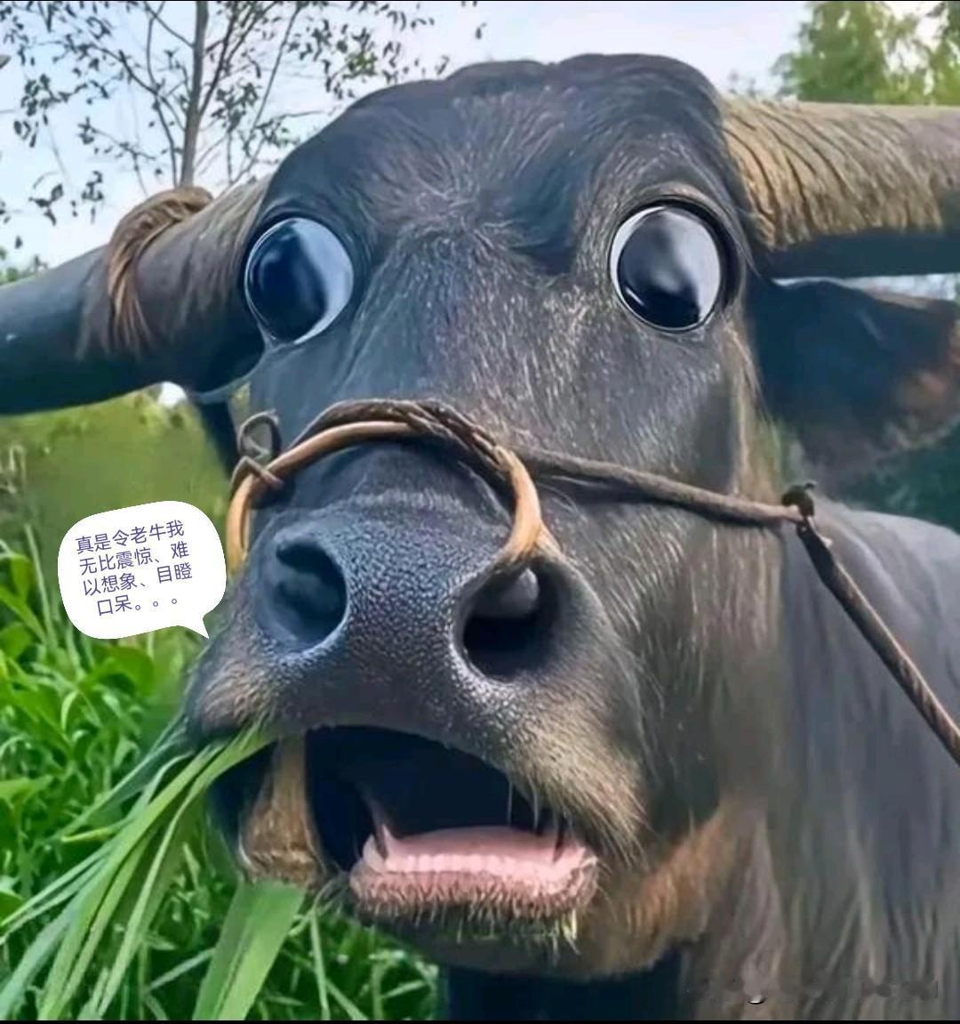 这么狗血、无脑的剧情，简直是震碎了成年人人的三观、颠覆成年人的想象，难以想象这些