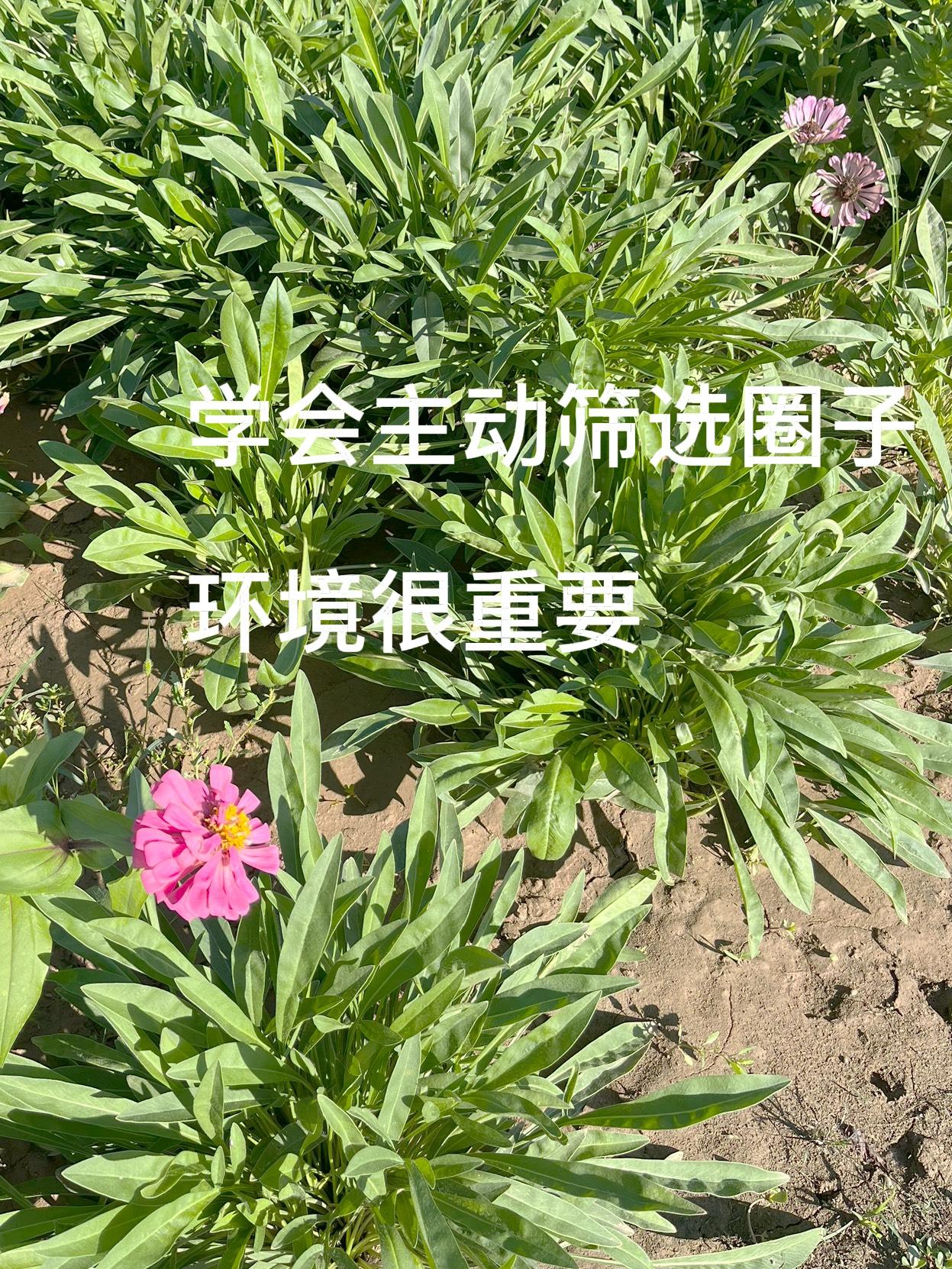人很容易被身边人的状态同化，负面的言语、内耗的氛围，会悄悄蚕食内心的笃定。

不