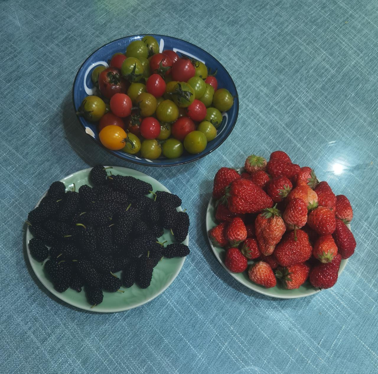 桑椹加草莓15元，草莓西红柿15元，这些还是挺便宜吧？草莓西红柿 桑椹