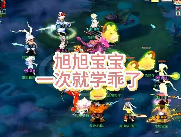 旭旭宝宝这次算是学乖了

上次小昏昭拿他当垫子

顺利拿下了善恶兽诀

如今再鉴