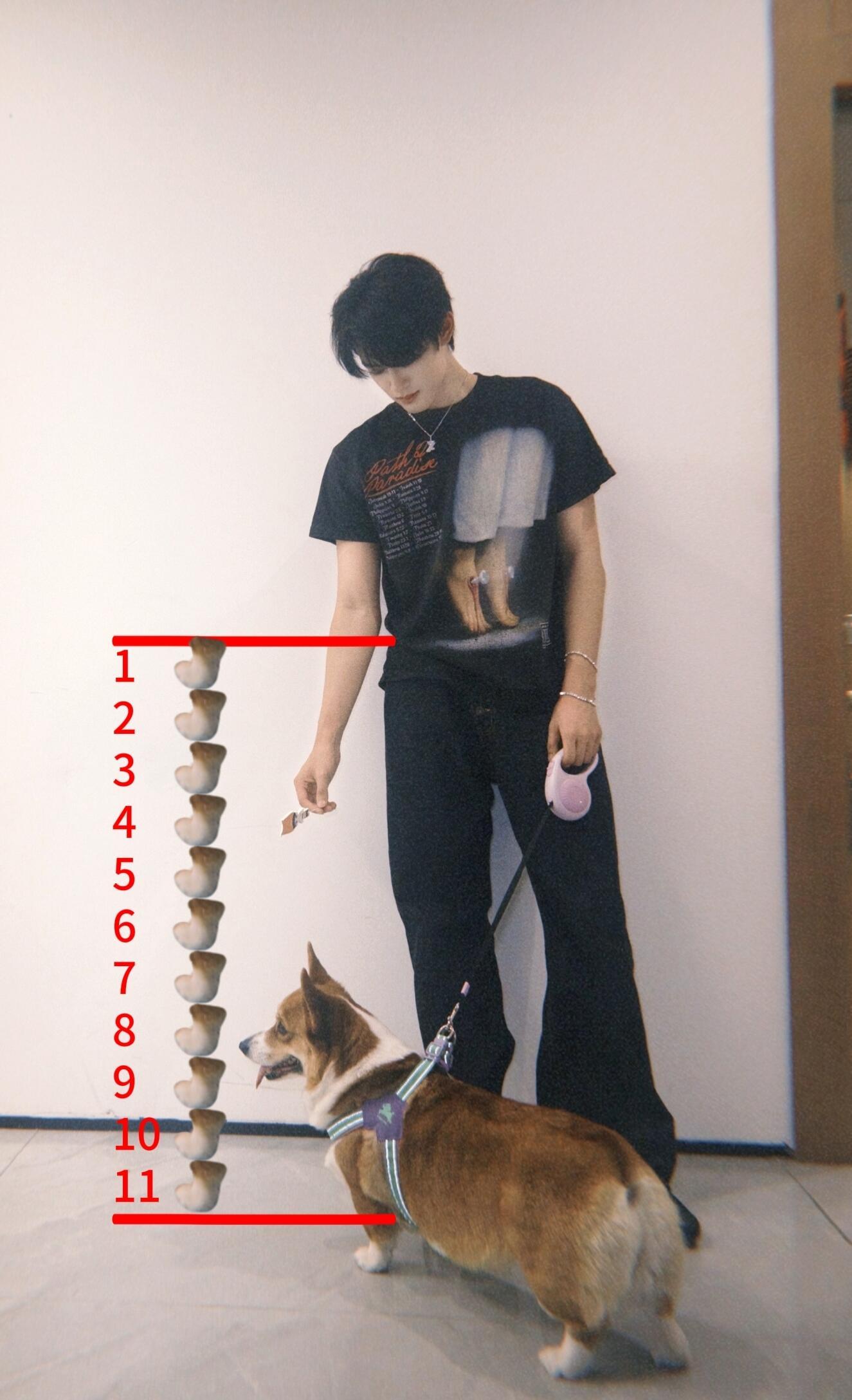 11个啵腿=1个极腿 张极