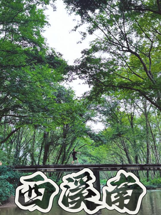 西溪南 | 树影在溪流中拆解年份