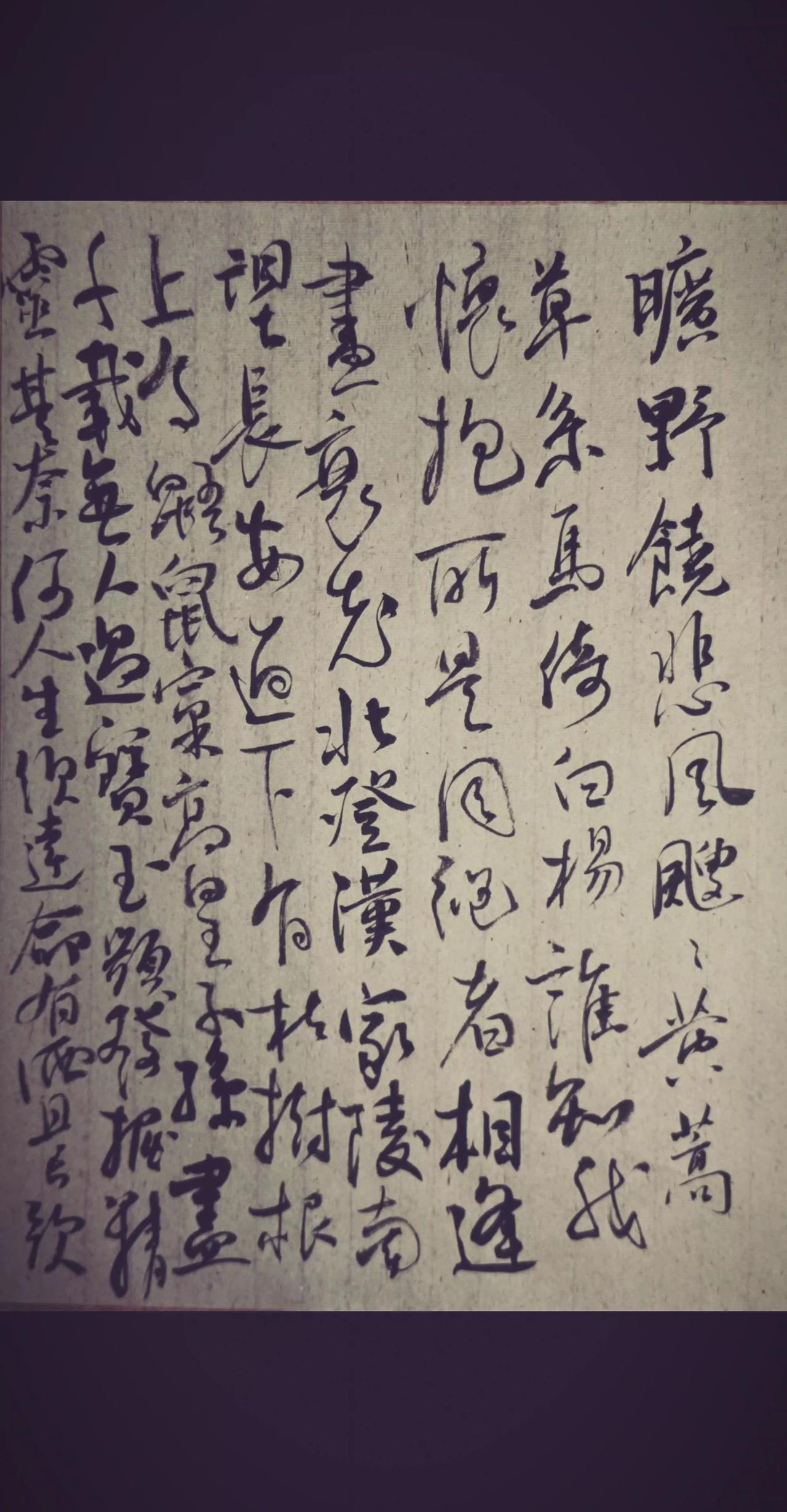 旷野饶悲风，飕飕黄蒿草。
系马倚白杨，谁知我怀抱。
所是同袍者，相逢尽衰老。
北