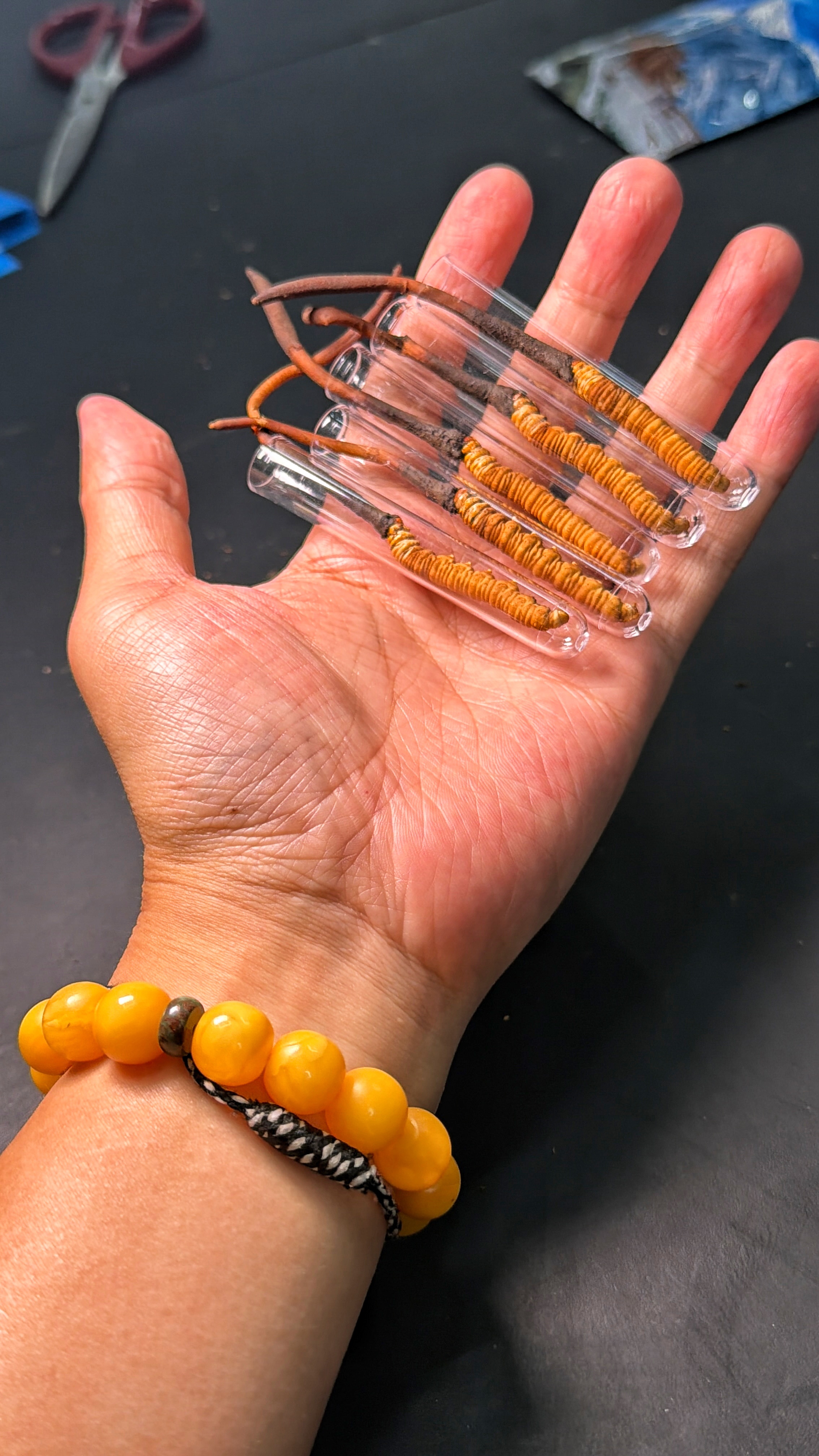 90后中年人温馨提示：别乱买杂款保健品，西藏高原野生虫草🐛每天泡水喝一两根，日