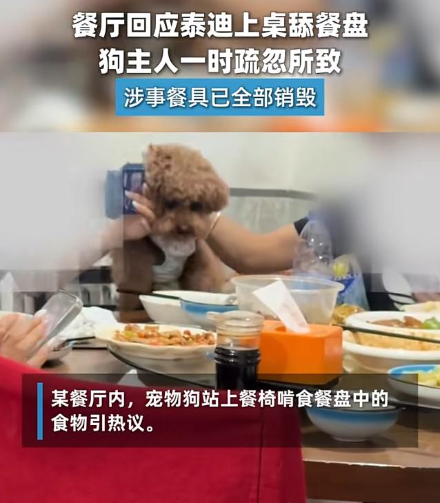 山西大同一家餐厅发生的事，刷遍了各大社交平台，不少网友看完现场视频直呼接受不了。