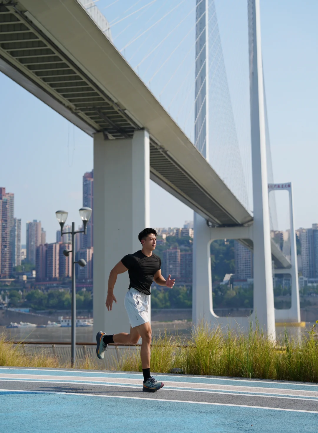 生活从来不是选择而是奔跑