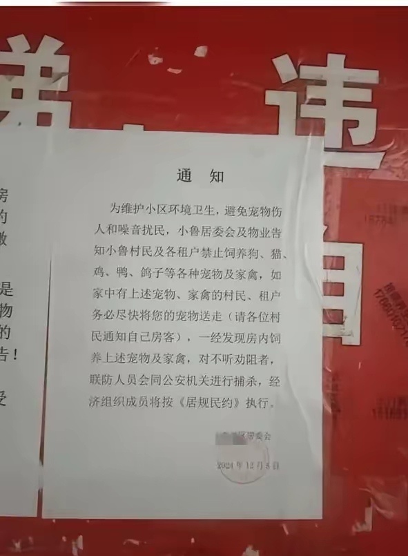 搞笑内涵图[超话]  想不通济南人为什么要和狗过不去？有句话说的好，狗永远是狗，