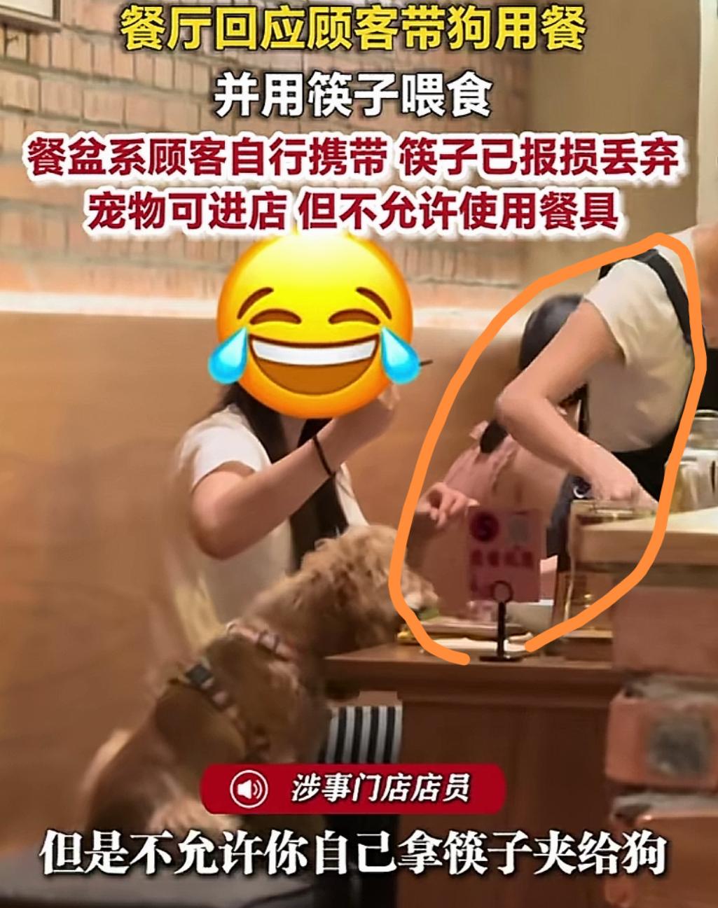 养狗之人在一步步试探大众底线！
9月14日，重庆一烤肉店，宠物狗又上桌吃饭了，被