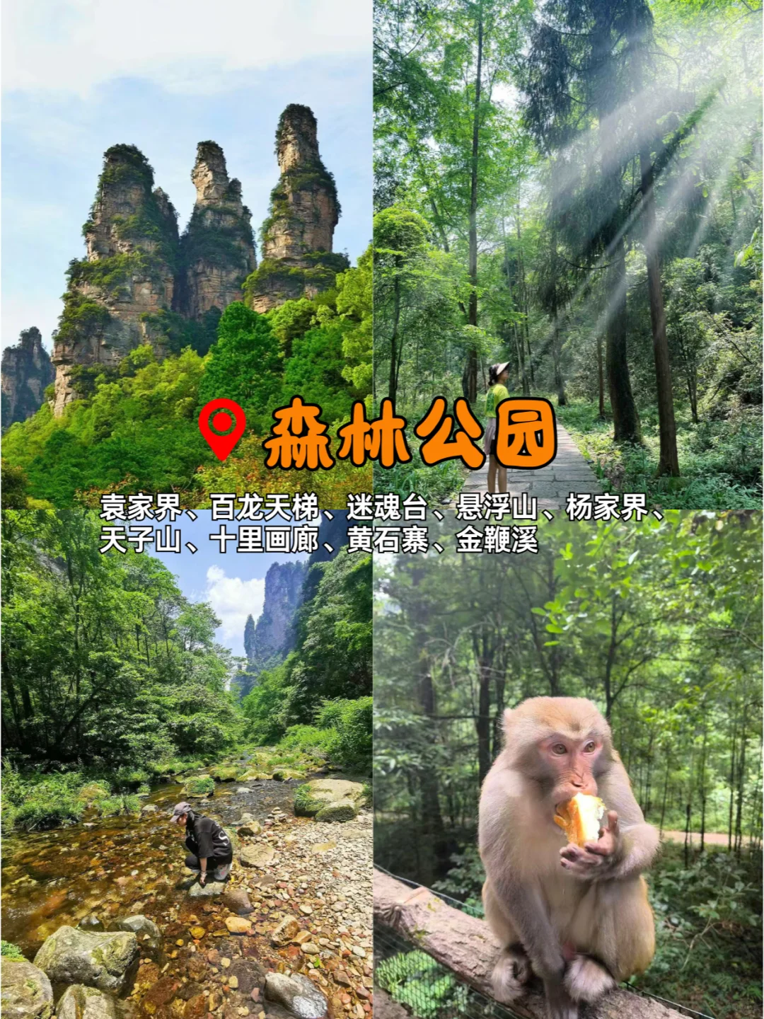 长沙张家界凤凰，吃住行超详细😮‍💨