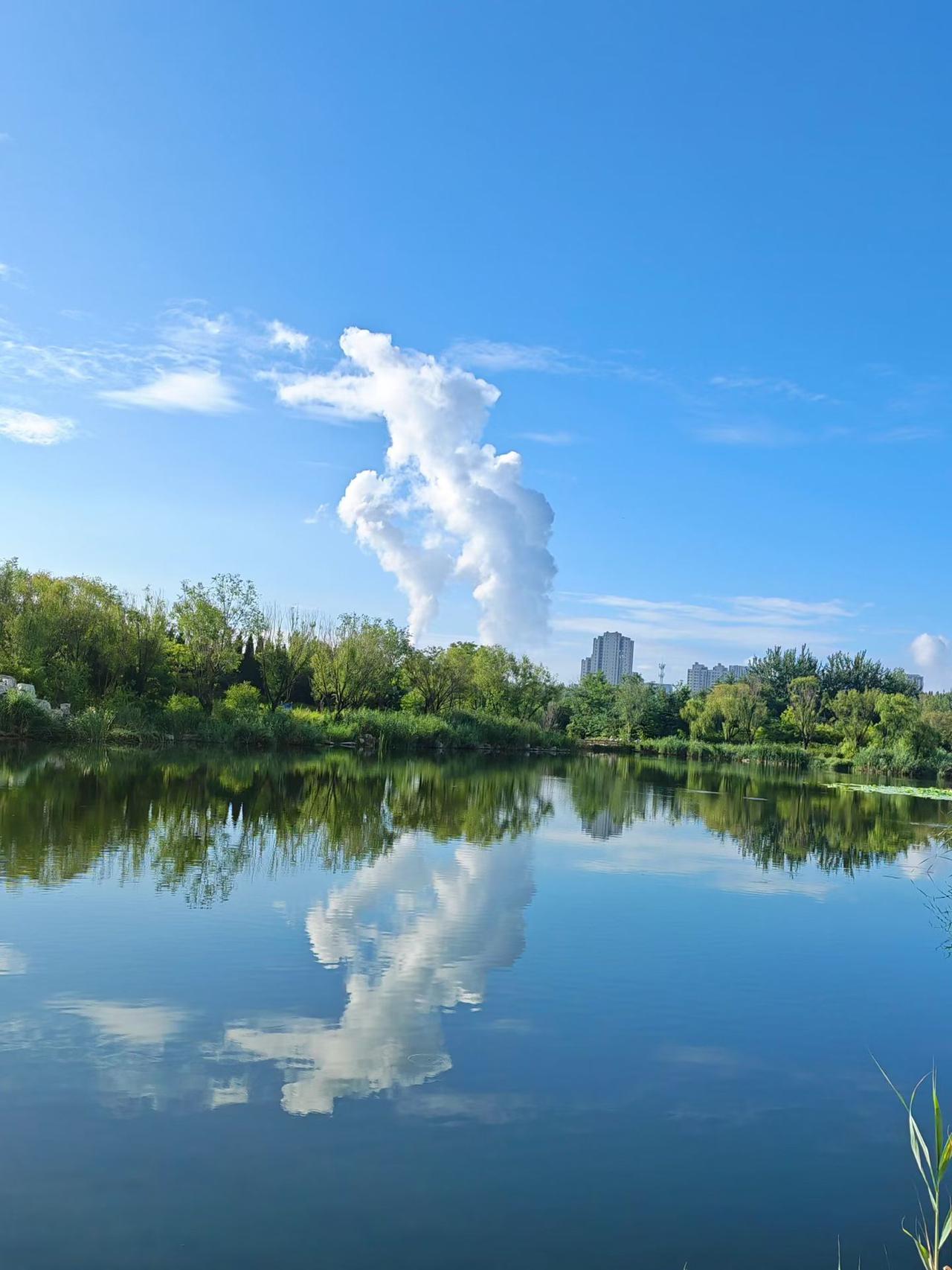 好好经营自己，才能变得更好