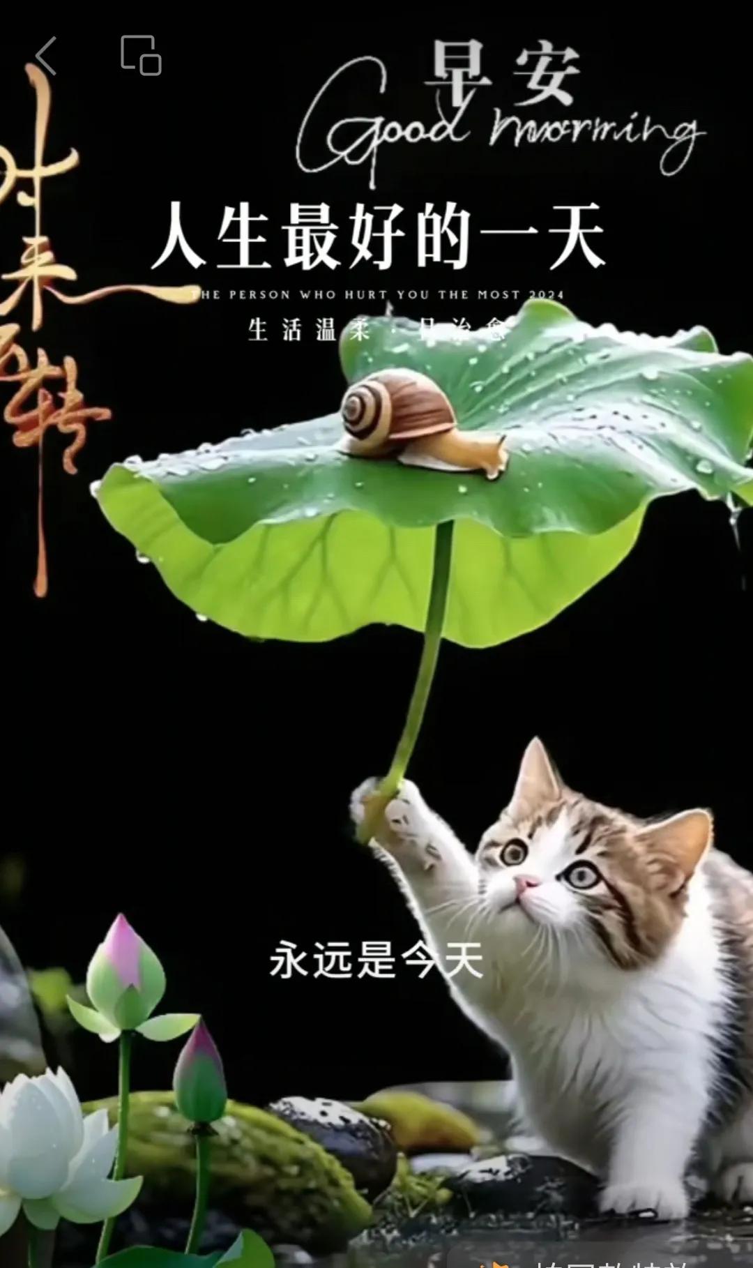 人生歲月要快樂，
生活需要高質量，
身體需要保健康，
心情必須要舒暢，
我們一樣