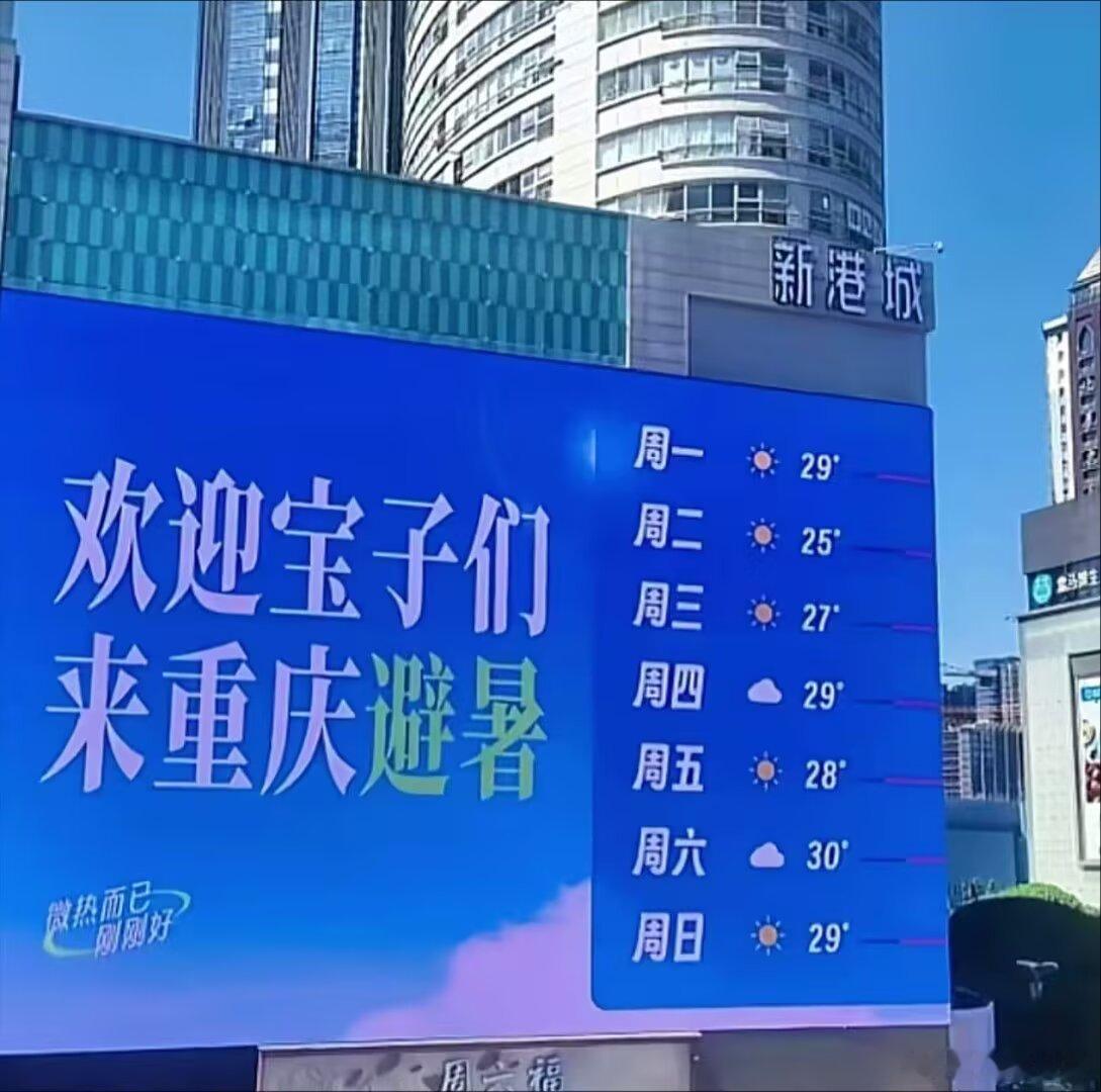 神了 