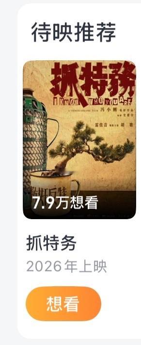 电影抓特务 2026 敬请期待跨年电影愿