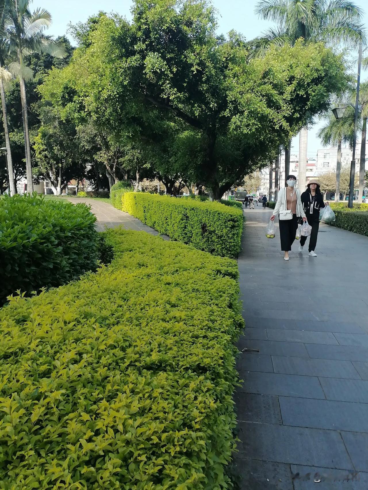 来到了云南省弥勒过冬，想找到一个可心的房子，也是不容易的。

       东北
