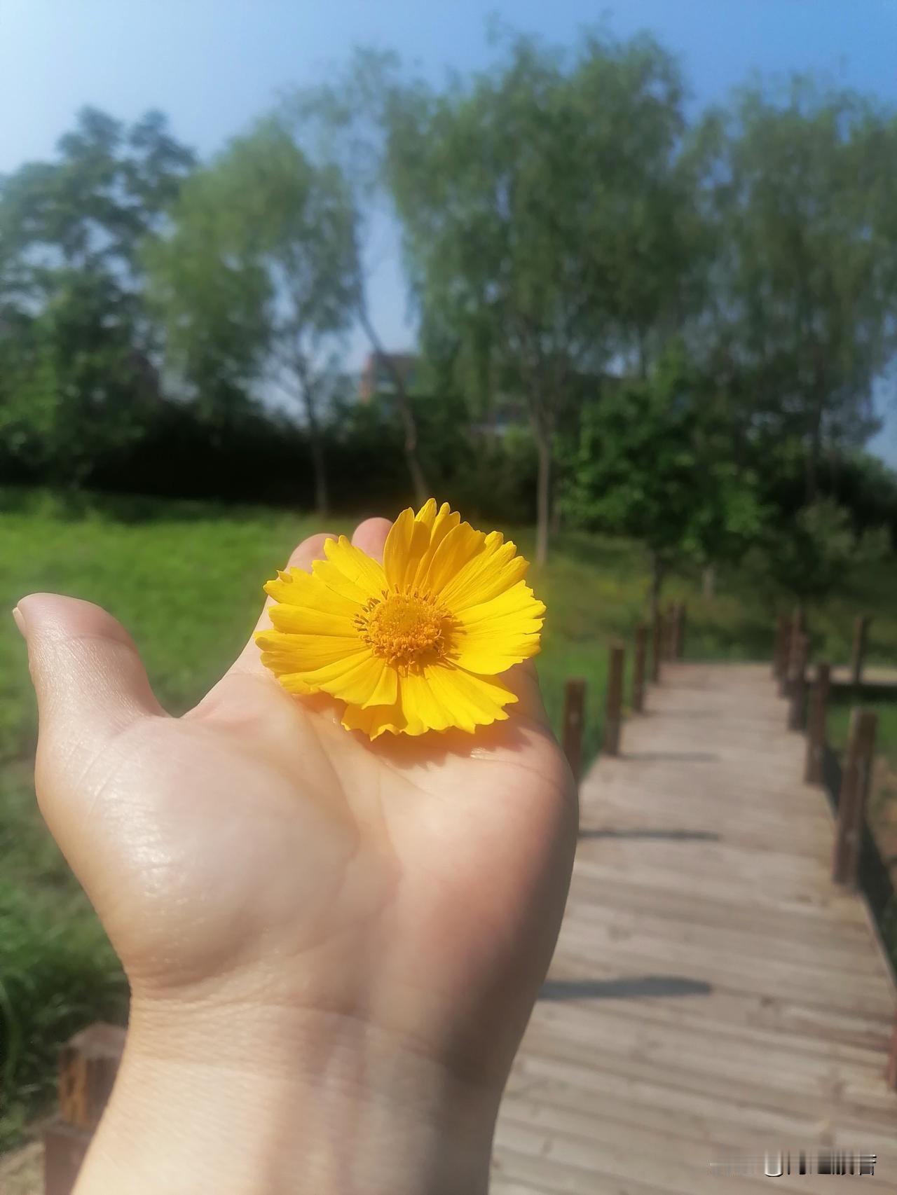 本年度最后一个周末了，平凡却很有纪念意义，因为过完，就再也回不去了。

看平台有