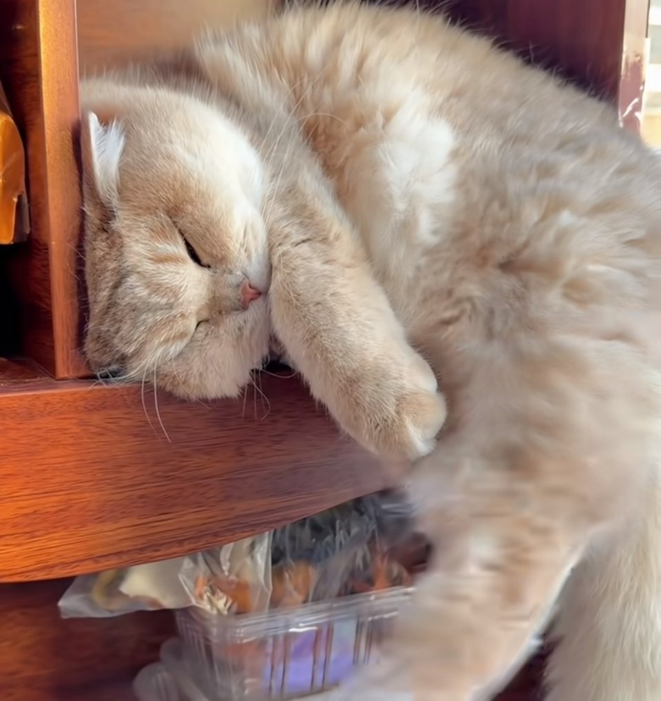 女儿四十多了，还在啃老。也不出去工作，也不找对象，天天吃了睡，睡了吃，愁啊。 