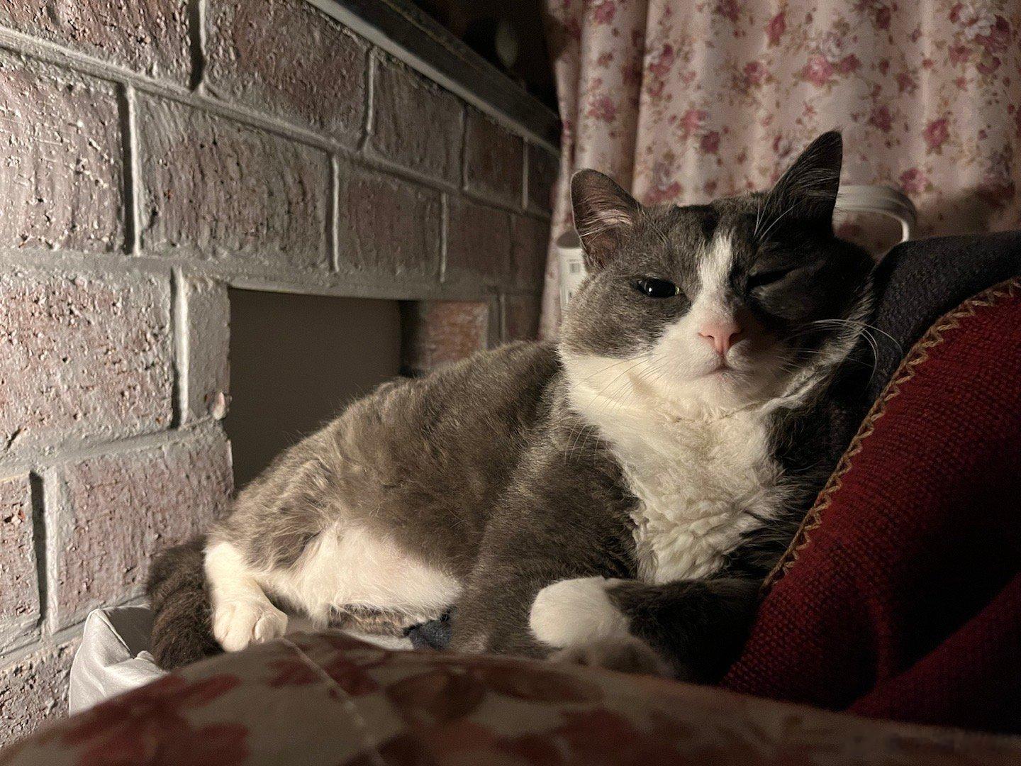 帮我关下灯#憨猪能量[超话]# ​​​