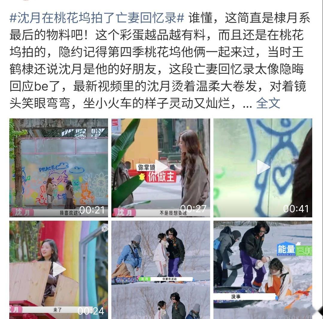 沈月在桃花坞拍了亡妻回忆录这是什么情况啊，沈月在桃花坞拍了亡妻回忆录，要知道沈月