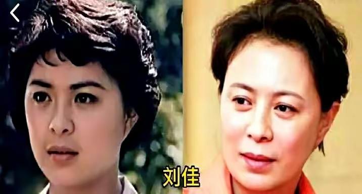 刘佳，陈小艺，何赛飞三位女明星年轻时很漂亮的嘛，如今老了更是多了一份沉稳