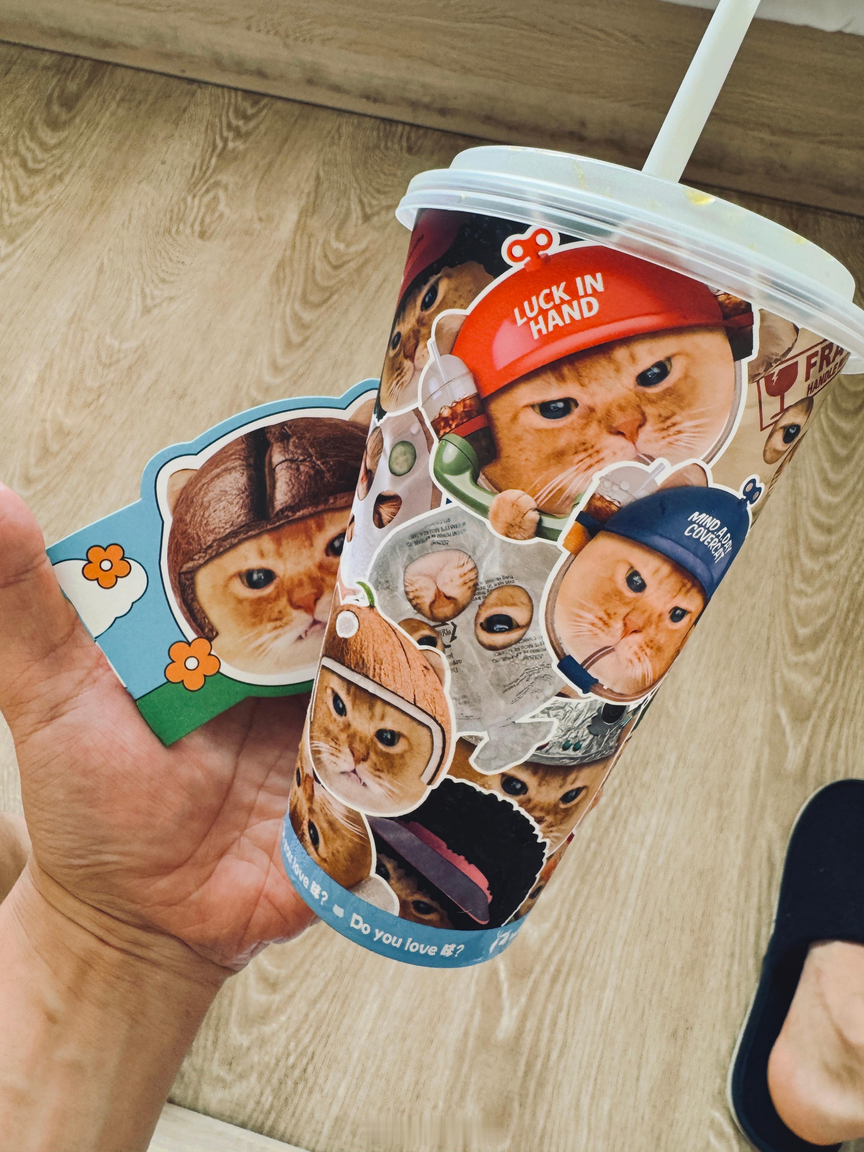 giegie 想要，giegie 得到！🐱 