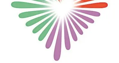 十五运会里的香港大学生志愿者：成为“小海豚” 参与大湾区体育盛会