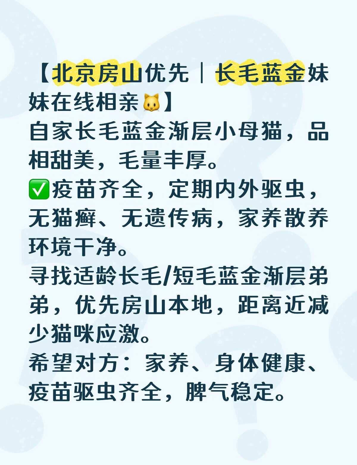 【北京房山优先｜长毛蓝金妹妹在线相亲
自家长毛蓝金渐层小母猫，品相甜美，毛量丰厚