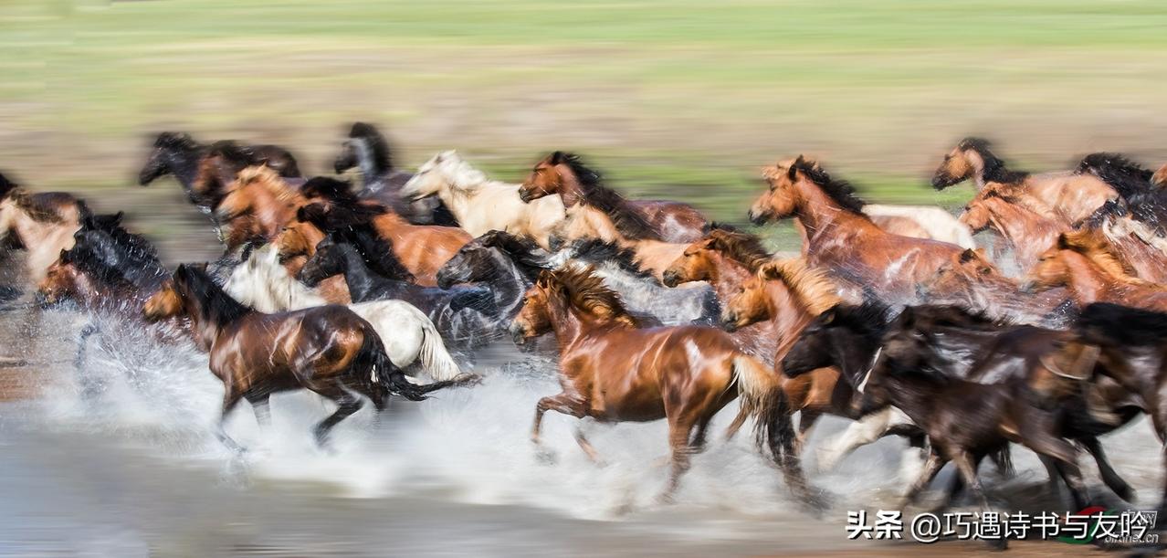 千山迎落日,谁能接住这下半句?

千山迎落日：万马逐长风！