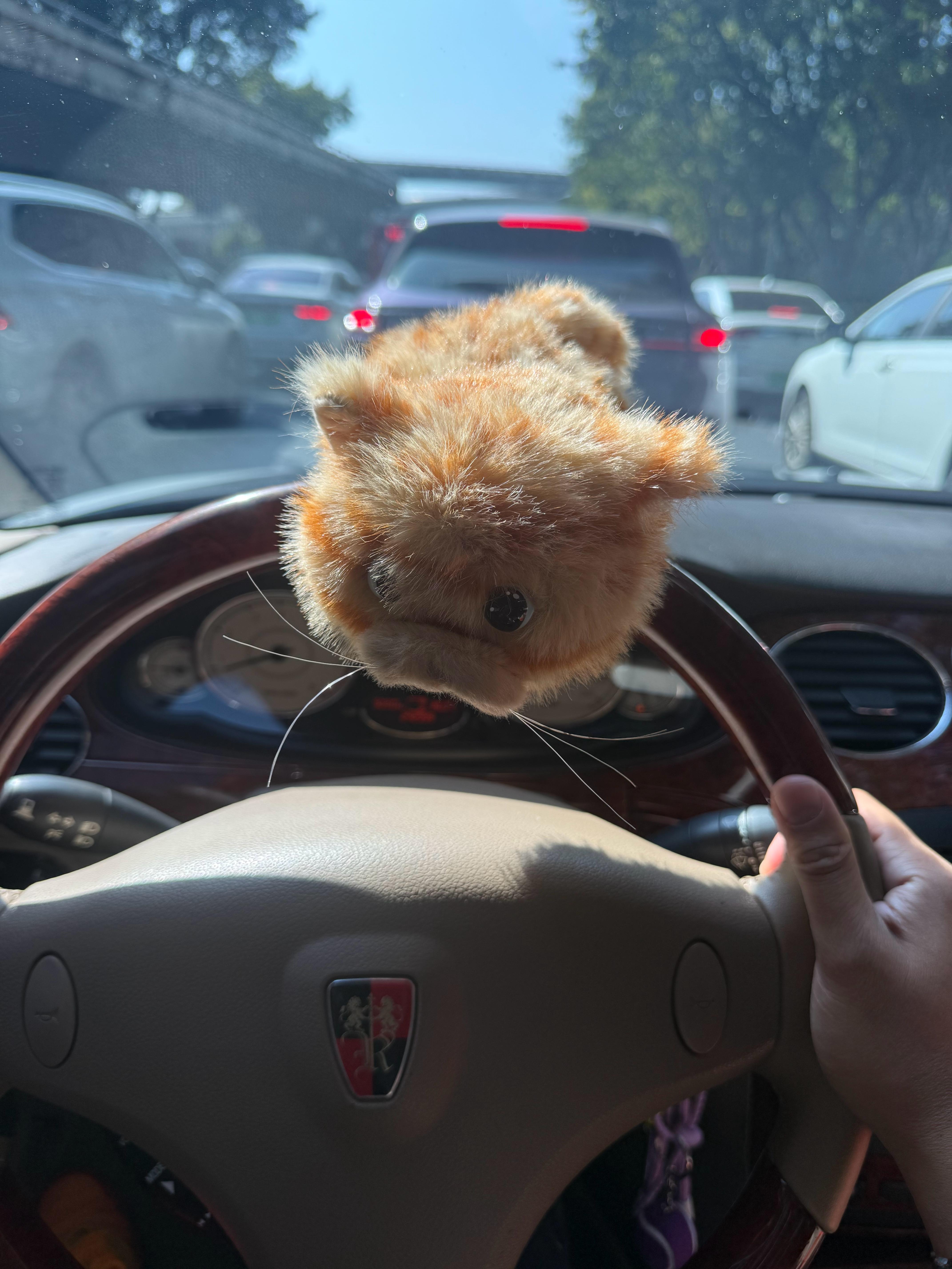 你今晚吃了汤圆还是饺子？ 