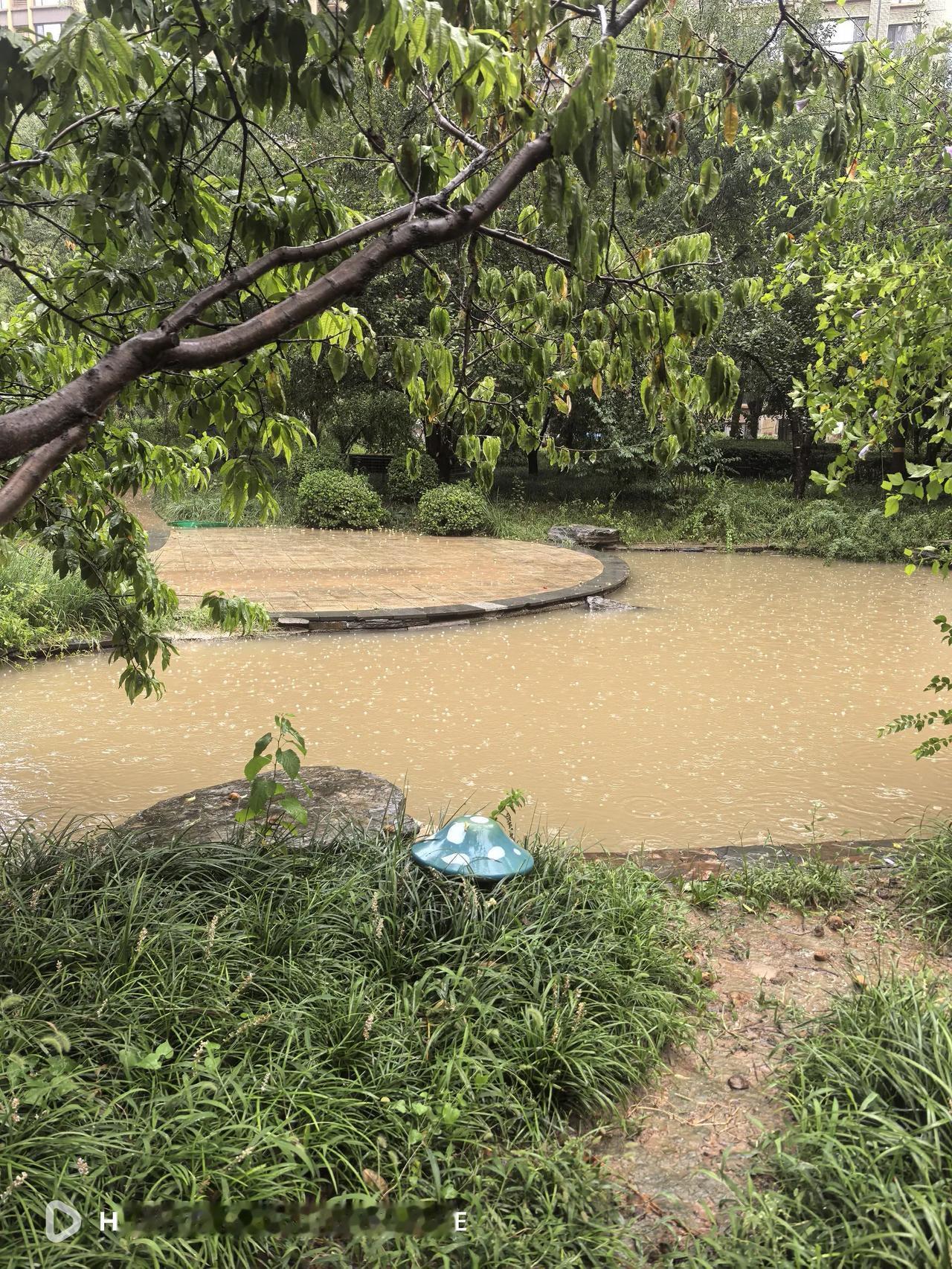 这场雨从昨天下午断断续续一直下到现在，近年来，已经很少有这种连阴雨的天气了。小区