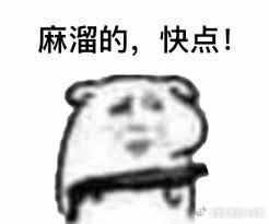 叙利亚消息源：在大马士革的倭马亚大清真寺里，部分HTS极端武装成员威胁他们的“头