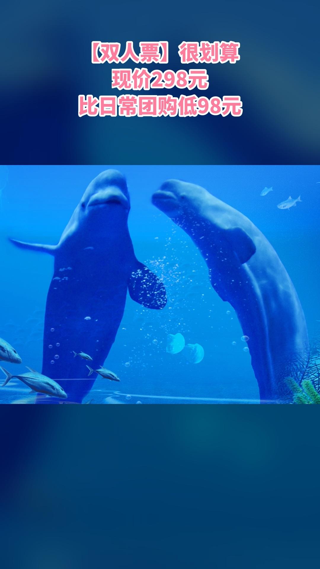 冰雪海洋世界，新品上线，抢先体验，4.3分推荐，【双人票】（注意，叠加...