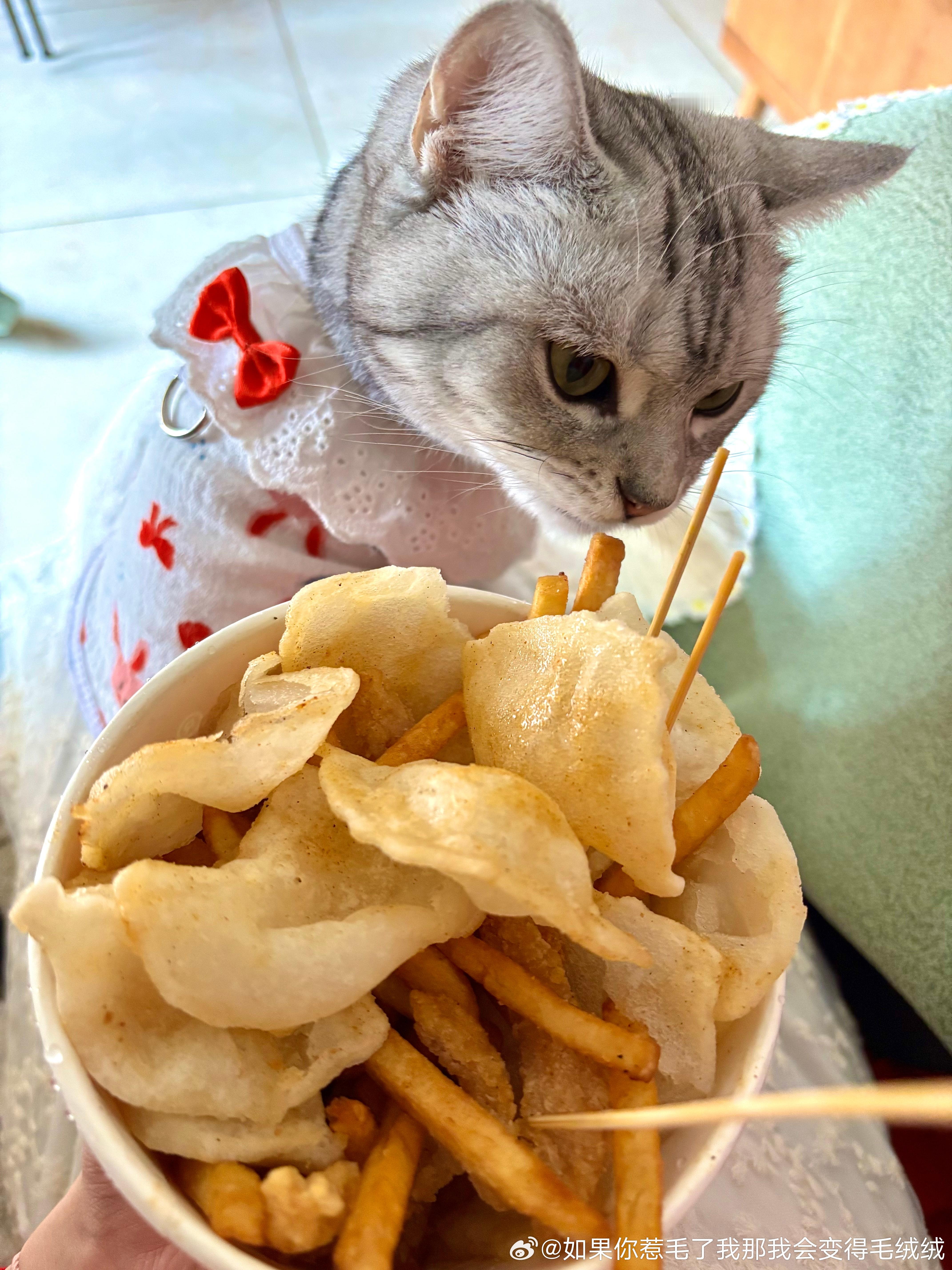 什么大馋猫！ ​​​