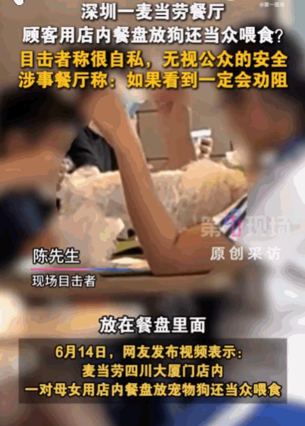 一点都不自觉！深圳，一对母女将宠物狗带入麦当劳店里。令人震惊的是，她们不仅未将宠