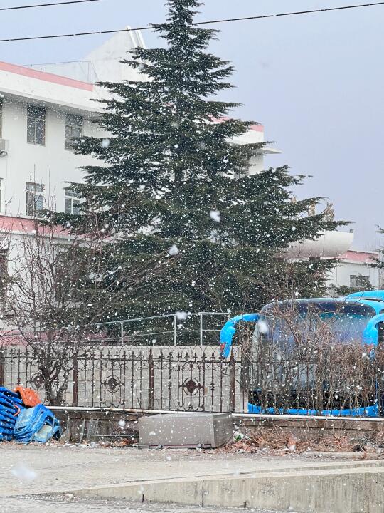 25年1.6号烟台初雪❄️（晴天➕雪花）