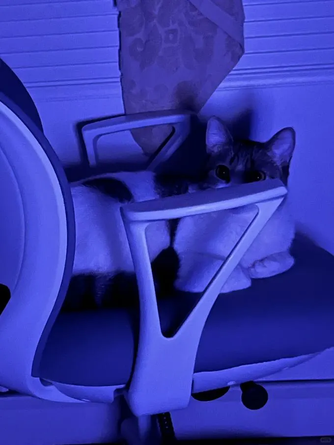 我会一直看着你