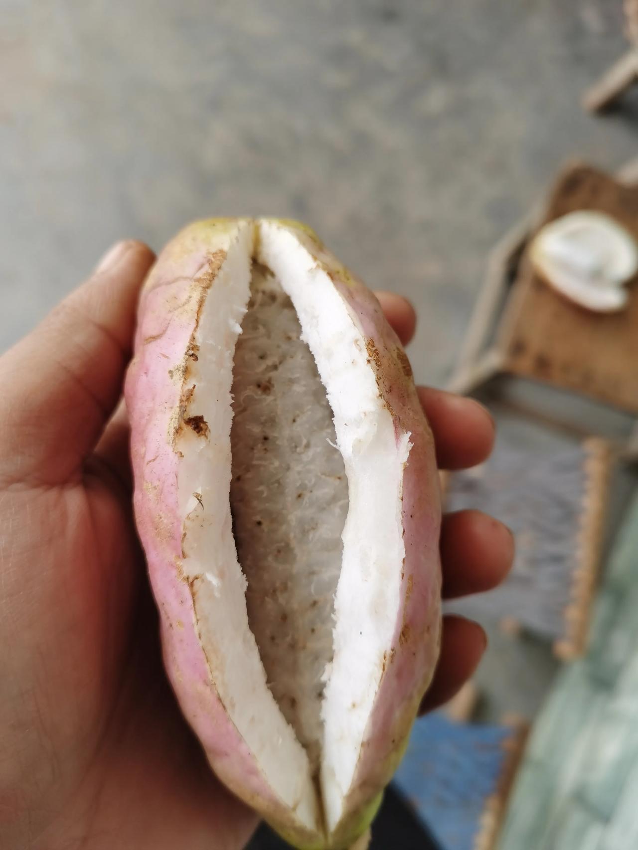 想不明白，这么厚的皮，还超级多的籽籽。为啥有人会买呢[捂脸]