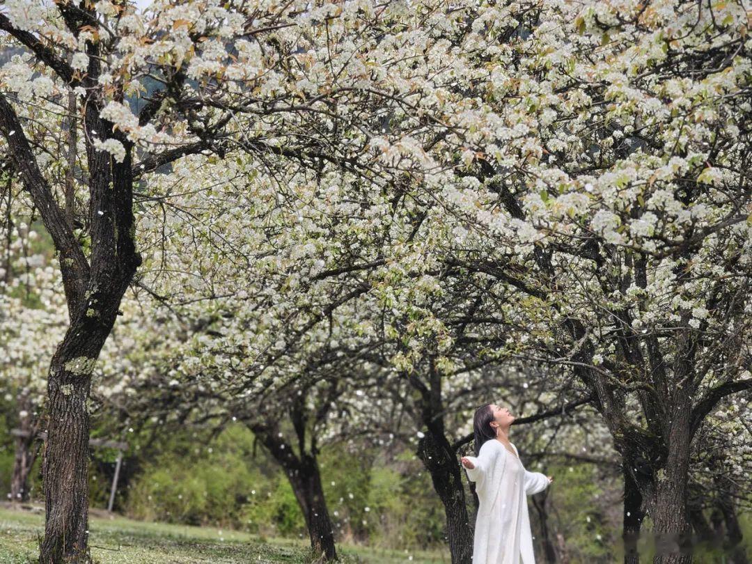早安[超话]📮✧⁺₊⋆ 早安 ⋆⁺₊✧写给未来的信笺✉落款请签「全力以赴」💪