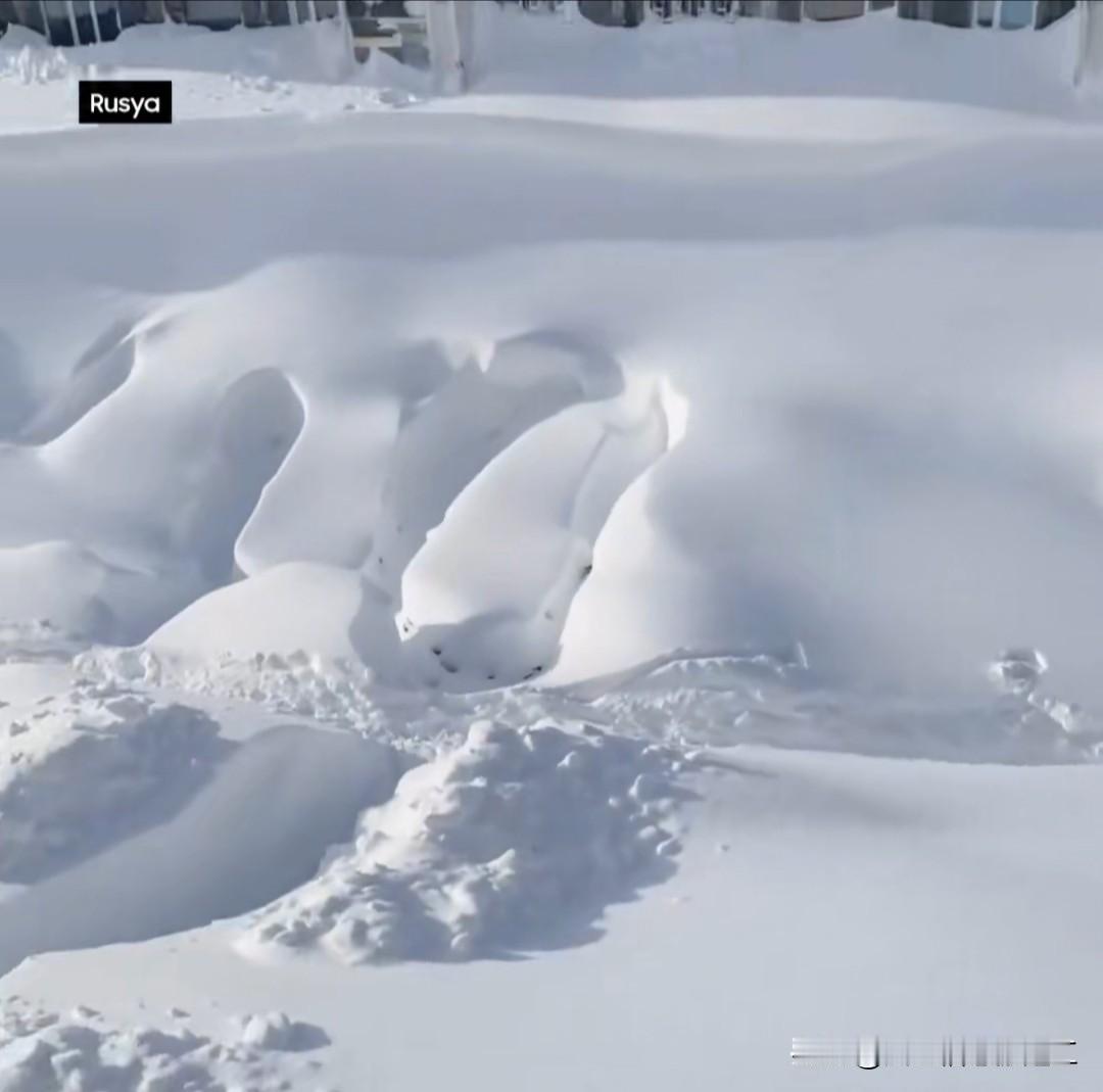 俄罗斯堪察加半岛遭遇历史性暴雪侵袭，当地居民称之为"雪域末日"。积雪覆盖城镇、阻