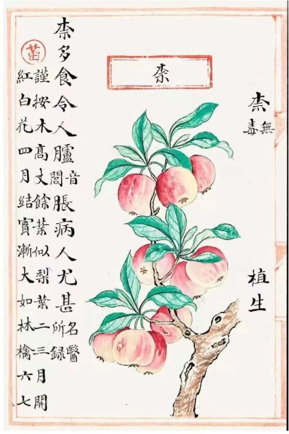 “苹”字组词，只有一个“苹果”？答案当然是否定的，“苹”字可以组很多词，只是“苹