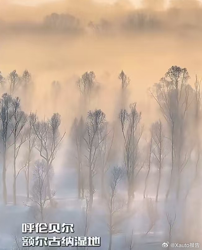 晨雾里的额尔古纳美到词穷内蒙古额尔古纳湿地清晨雾霭缭绕，晨光朦胧，山水如画，宛如