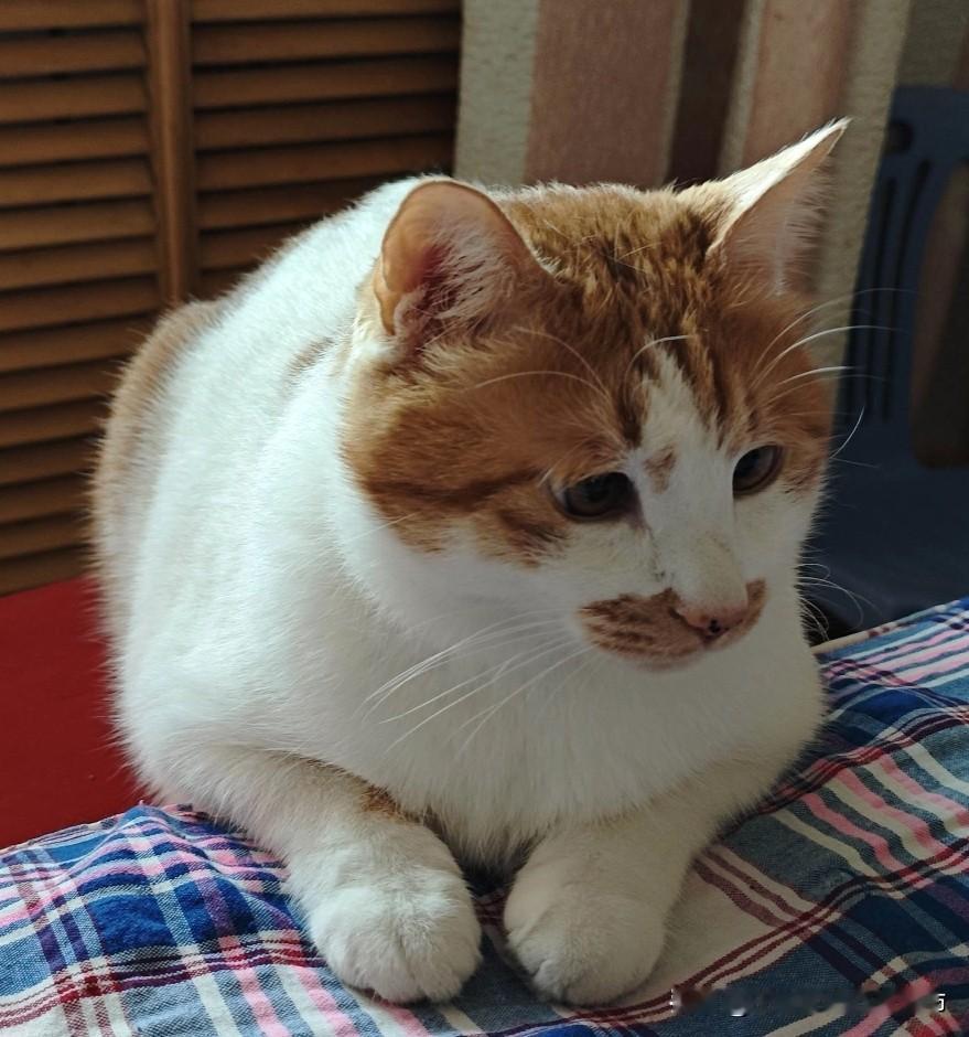 烂人的恶意，不值你耗半分情绪
 
     别为烂人消耗情绪，他们的恶意就像垃圾