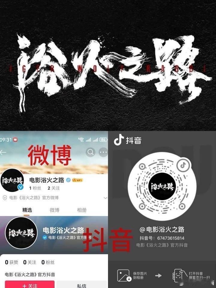 #电影虎狼之路改名浴火之路#期待赵丽颖浴火之路！ ​​​