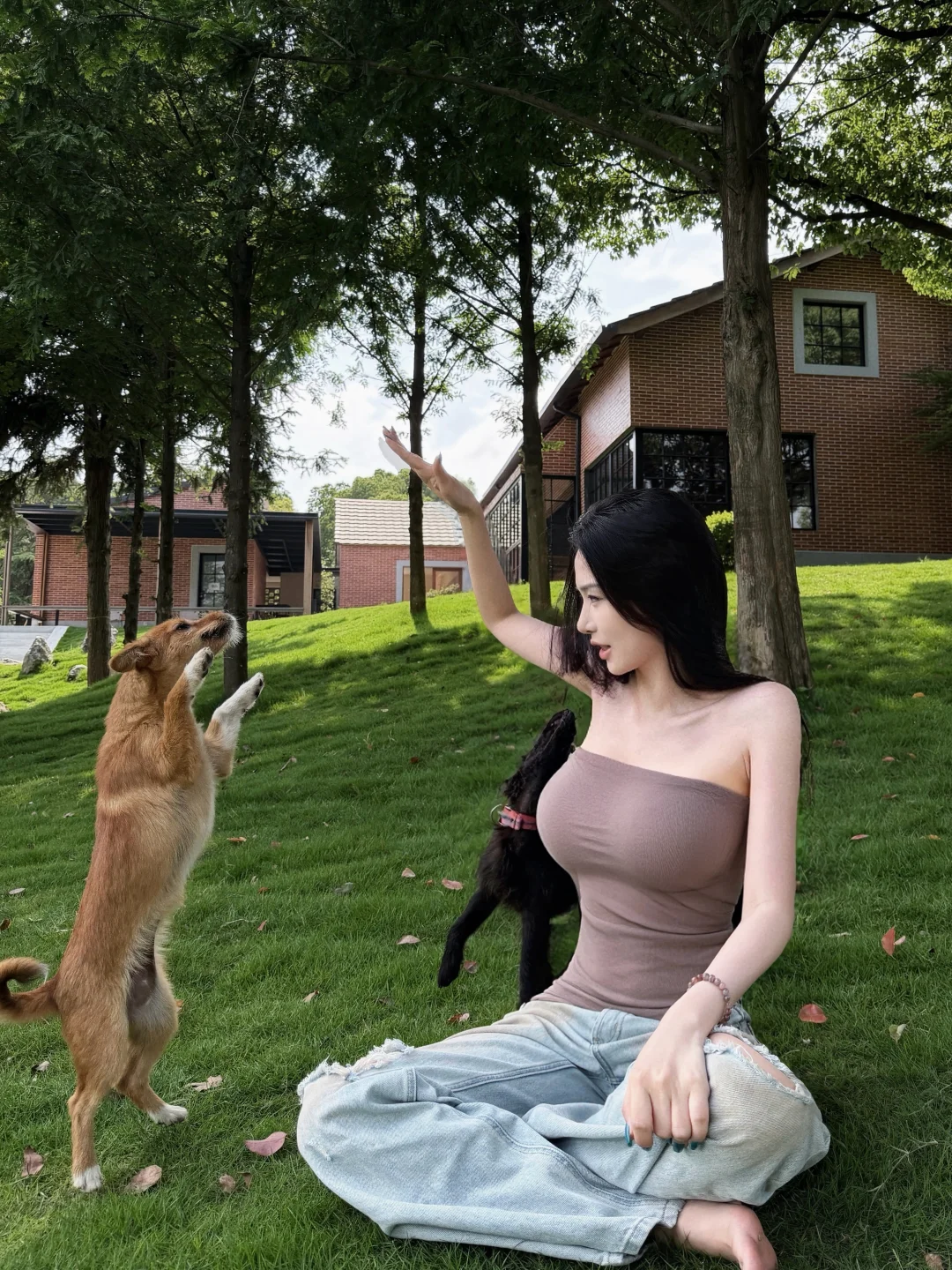 能摸摸你吗 感觉你有点毛茸茸的