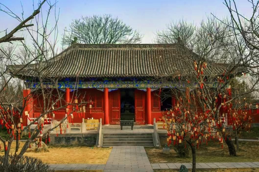 公园美丽景随拍