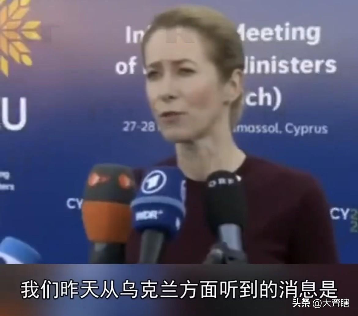 【有点怂，卡拉斯称只有美国人员撤离了基辅】
据外媒消息，欧盟外交与安全政策高级代
