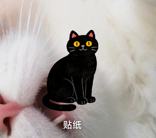 妙玩小组件 | 贴纸桌面上捉到一只小黑猫~P2是透明底图 