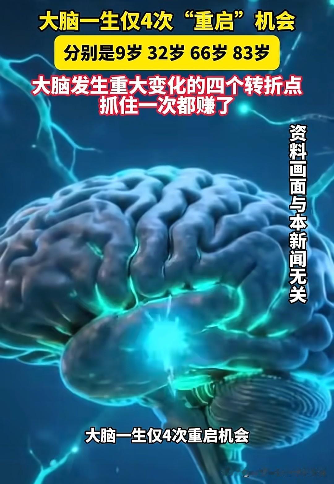 大脑“重启”，机会只有4次。不要错过。这4次分别落在9岁、32岁、66岁和83岁