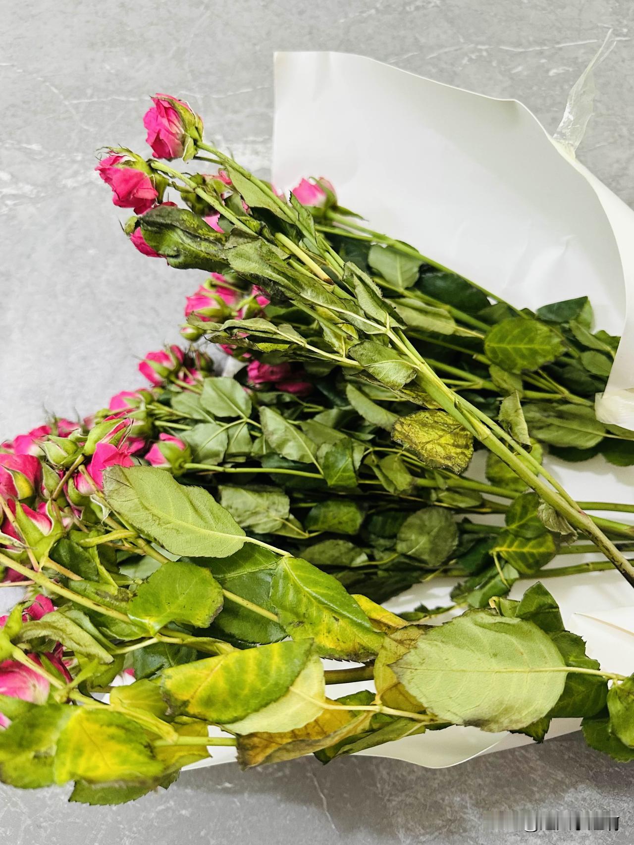 去快递点看到店家寄过来的花的时候我就不想要了。
盒子是打开的，花束没有固定，更没