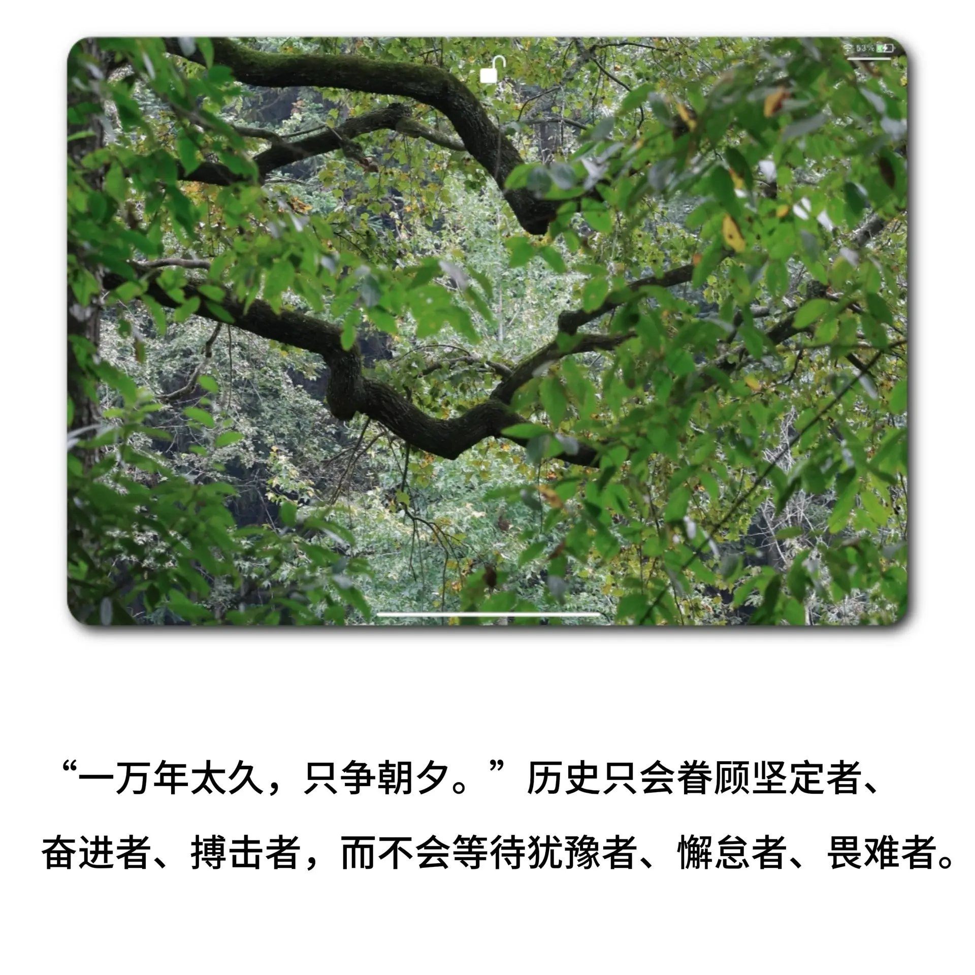“青年青春、奋斗拼搏”热门主题的金句作文素材