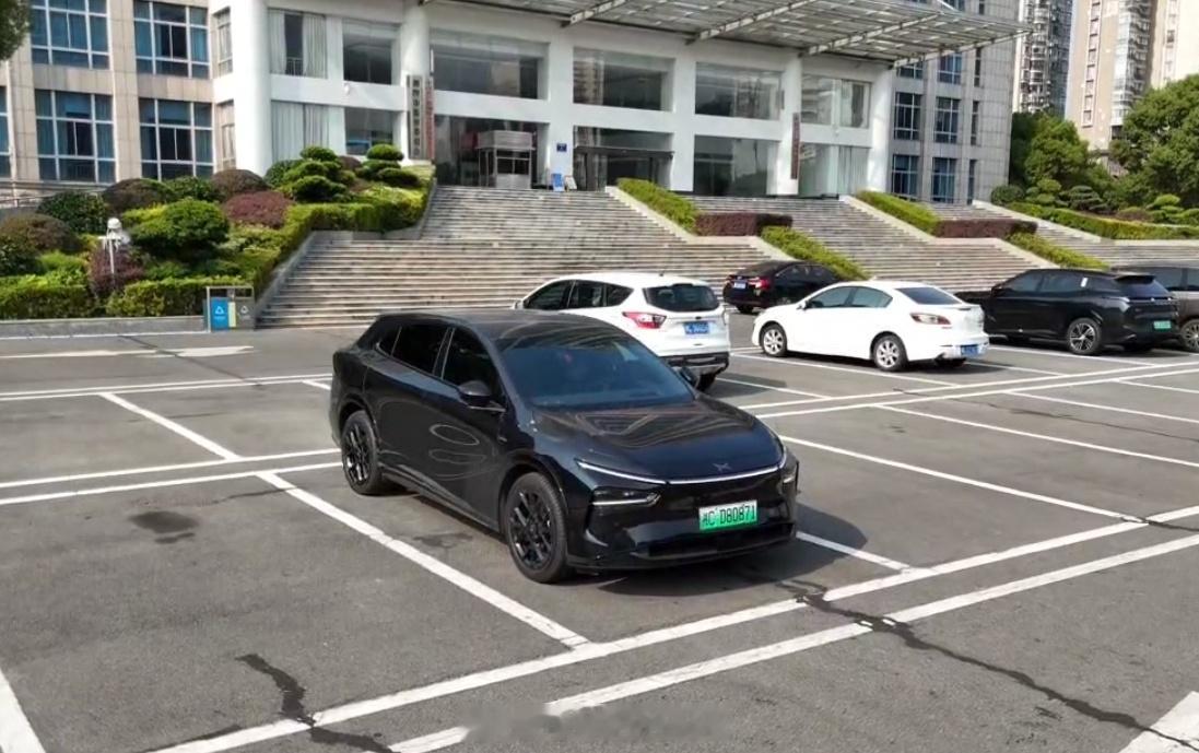 越看越爱[柯基] ​​​